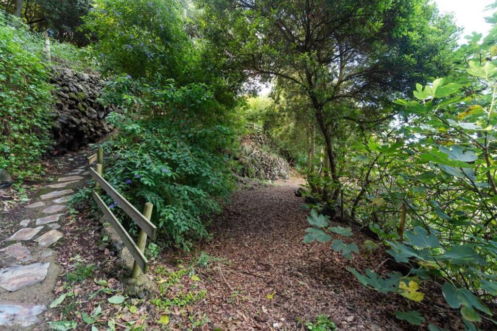 Finca El Molledo El Patio Διαμέρισμα Icod De Los Vinos Εξωτερικό φωτογραφία